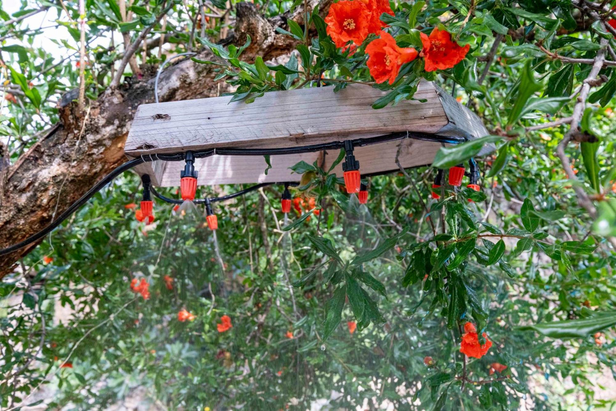 Casa Acollidora I Familiar Amb Jardi I Barbacoa Villa Àger Eksteriør billede